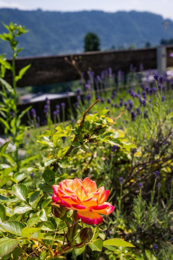 Wohnung Seeblick Sattendorf エクステリア 写真